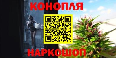 спиды Моздок