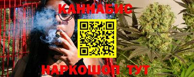 спиды Моздок