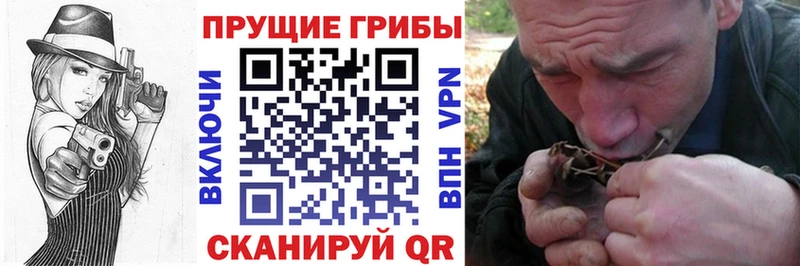 Галлюциногенные грибы мицелий  как найти наркотики  Сунжа 