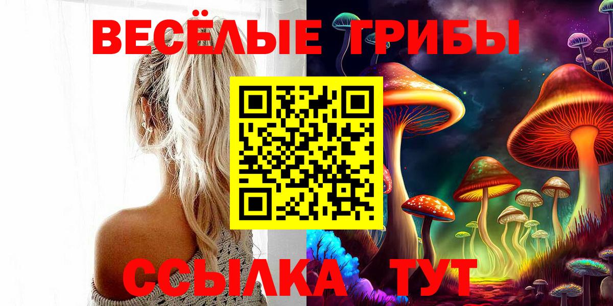 Галлюциногенные грибы Psilocybe Сунжа