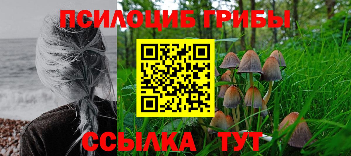 Галлюциногенные грибы ЛСД  Вход с VPN  Сунжа  Галлюциногенные грибы GOLDEN TEACHER 