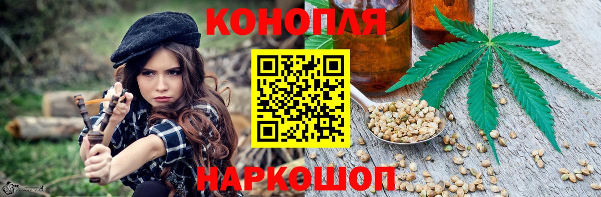 Каннабис MAZAR  Вход с VPN  Бошки Шишки VHQ  Сунжа 